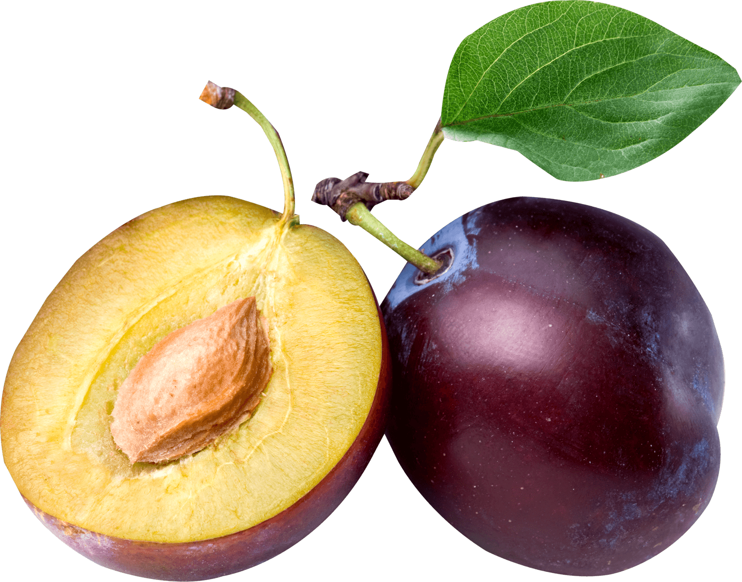 prunes