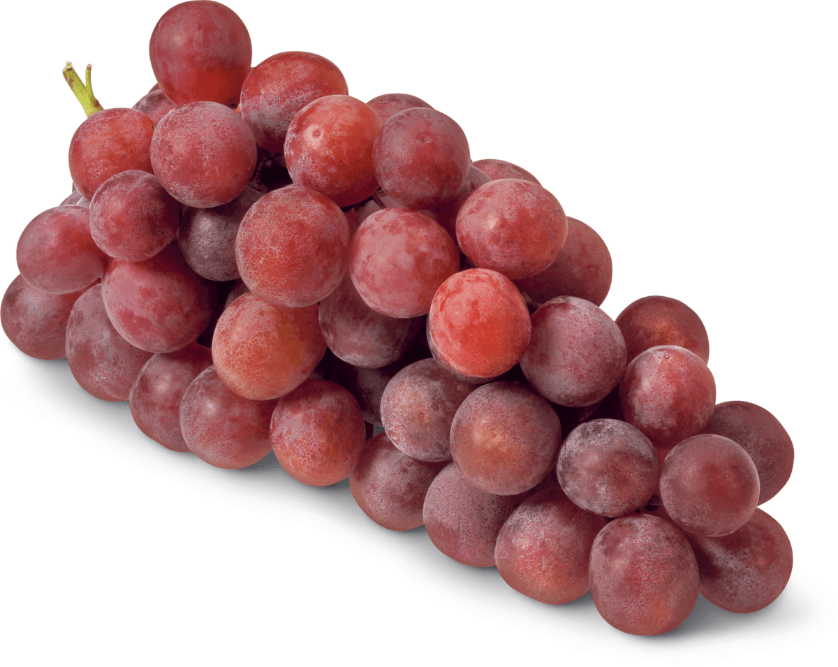 raisins - FDA