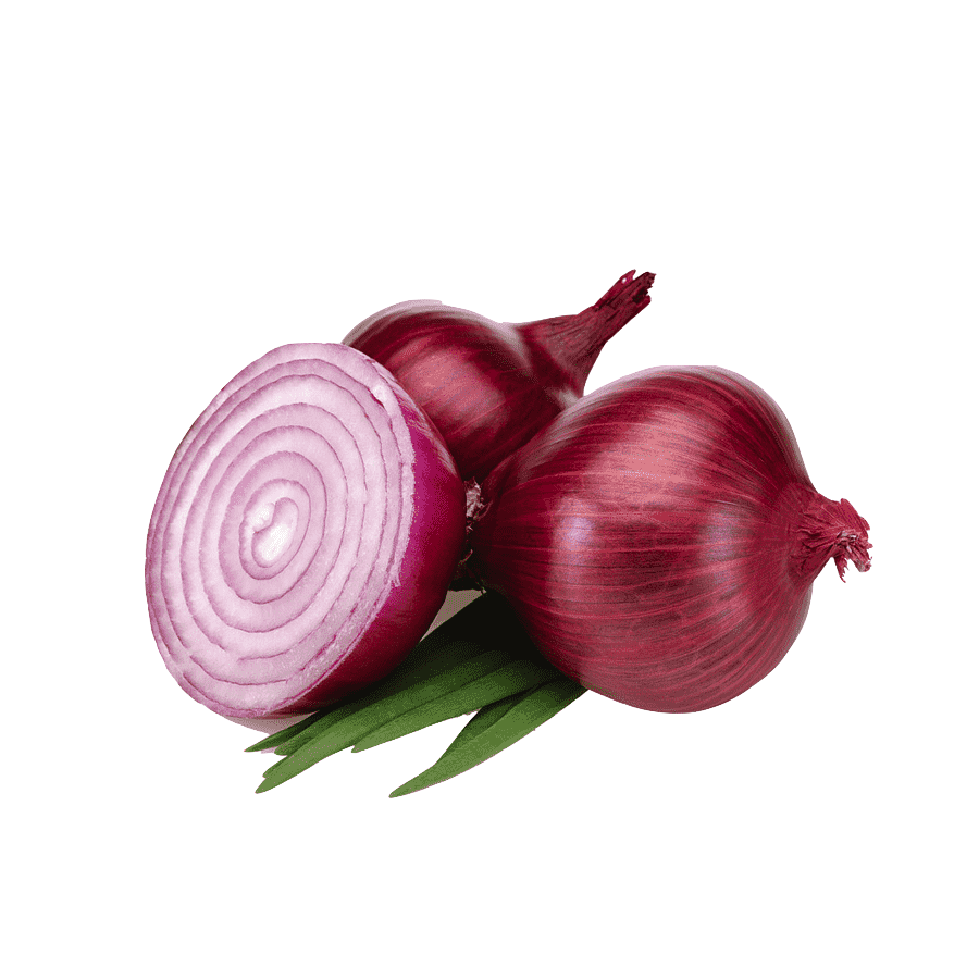 png-clipart-onion-onion-vegetables