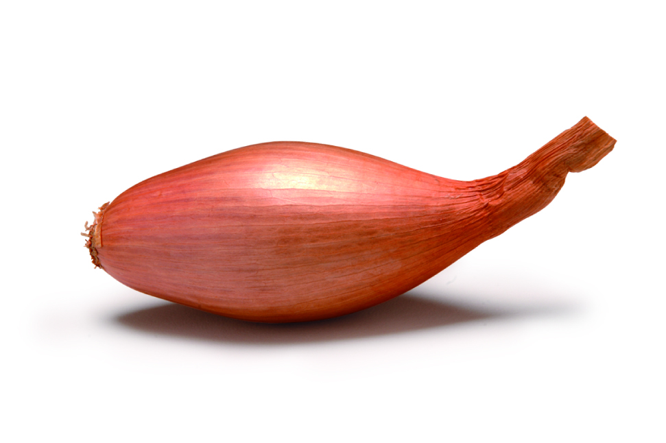 échalion